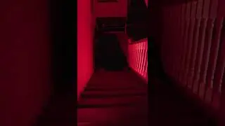 What's On The Stairs? | Short Horror Film #horrorshorts #horrorstory #scary