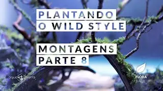 Aquário Plantado - Plantando o Wild Style - Montagens Parte 8 - Flora - Fácil