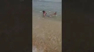 Витязево 2019