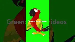 #animation #kids #greenscreen #birds #youtubeshorts #shortvideo #subscribe #music #create your own