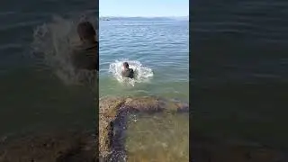 Пов:друг хочет купаться #мем #fishing #рыбалкавидео