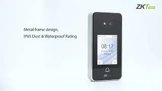 Speedface V3Lite