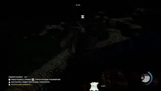 Играем в The Forest