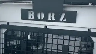 BORZ