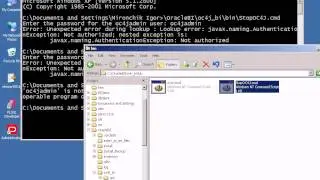 Oracle BI Server 10: Создание web-отчетов и витрин. [1-4]
