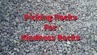 Picking Rocks for Painted Kindness Rocks