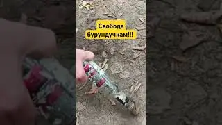 свобода бурундучкам! #юмор