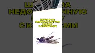 Штраф за недостаточную борьбу с комарами
