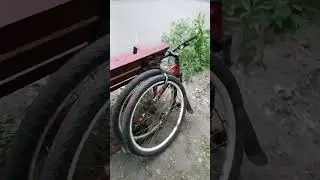 большое разнообразие