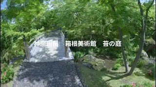 神奈川県　箱根美術館　苔の庭