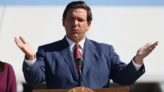 Ron DeSantis’s critics are turning him into a hero for the right