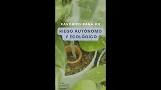 El mejor sistema de riego para tus plantas