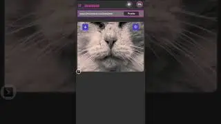 my Image downloader #youtube #roblox #coding #viral #pythontutorial #memes #subscribe #pythontricks
