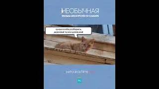 Дворики и деревянное зодчество | НЕОБЫЧНАЯ | Фильм на канале