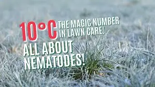 LAWN TEMPERATURES EFFECT PEST CONTROL TREATMENTS