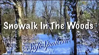ASMR Snow Walk in the Woods (Soft Spoken)Crunchy footsteps/Nature sounds/No talking version tomorrow