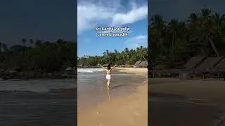 Sri Lanka gezi videolarım kanalımda yayında💙 #srilanka #gezi #seyahat #yurtdışı #öneri #tatil