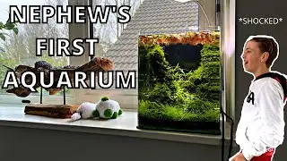 LOW MAINTENANCE NANO AQUASCAPE - HIS FIRST AQUARIUM!