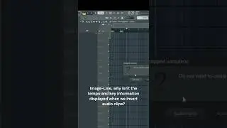 Key and Tempo FL Studio  
