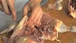 удаление костей из курицы1