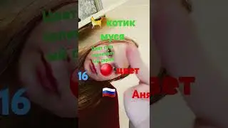 8 мая 2024 г.