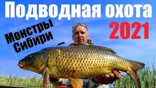 Fishing 2021 .Spearfishing in Siberia, Broke the gun EKLMN, spider lift as always helps out!