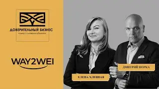 WAY2WEI  Что такое эмоциональный интеллект и как его развивать