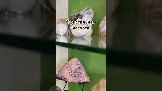 1 июля 2024 г.