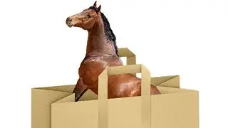 horses in the bag
