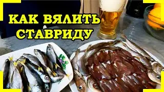 КАК ВЯЛИТЬ СТАВРИДУ!    НЕТ СМЫСЛА ПОКУПАТЬ ВЯЛЕННУЮ РЫБУ, САМЫЙ БЫСТРЫЙ И ЛЕГКИЙ СПОСОБ!!!