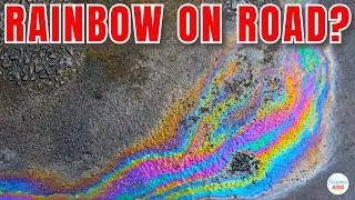 Rainbow on Road: Why Do You See Colorful ‘Rainbow’ Patches On A Wet Road?