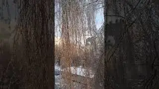 Музыка ветра