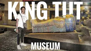 King TUT Museum, Sharm El-Sheikh | World Youth Forum 2022 #kingtutmuseum
