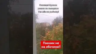 Пикник не на обочине)