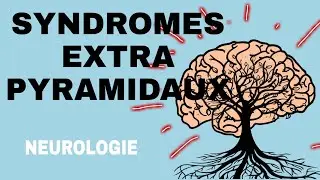 NEUROLOGIE : SUNDROMES EXTRA PYRAMIDAUX 🌟