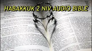HABAKKUK 2 NIV AUDIO BIBLE(with text)