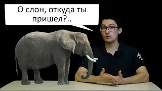 Откуда пришли слоны? - часть 1