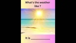 WHAT'S THE WEATHER LIKE?  