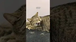 И так бывает 