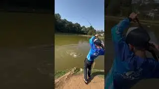 Já pegou esse peixe ? 