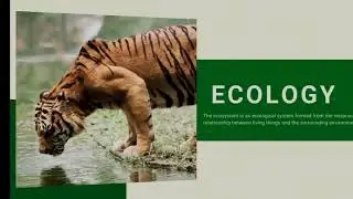 What is the ecosystem #ecosystem#nature#india