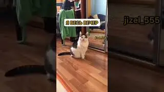 ВК и инст jizel_555