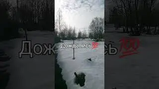 дождались⬇️⬇️⬇️⬇️⬇️.  Весна💯