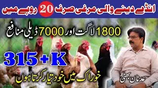 Cage free Poultry Farming Business and Ideas 2020