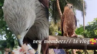New members// fs vlog🥰