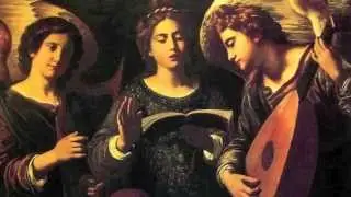 Adagio (Pietro Nardini) played by Duo Paganini (Ian van Rensburg & Soren Madsen)
