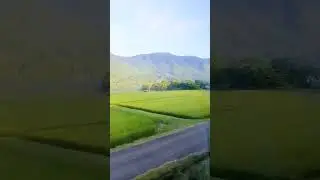 夜行特急アルプス（早朝の木崎湖）