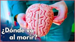 3 TEORÍAS PERTURBADORAS SOBRE LA CONSCIENCIA