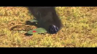 !!! War Thunder !!!  Долгая дорога к Победе!