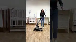Как собрать детскую коляску Adamex Chantal